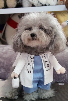 Handsome Doctor