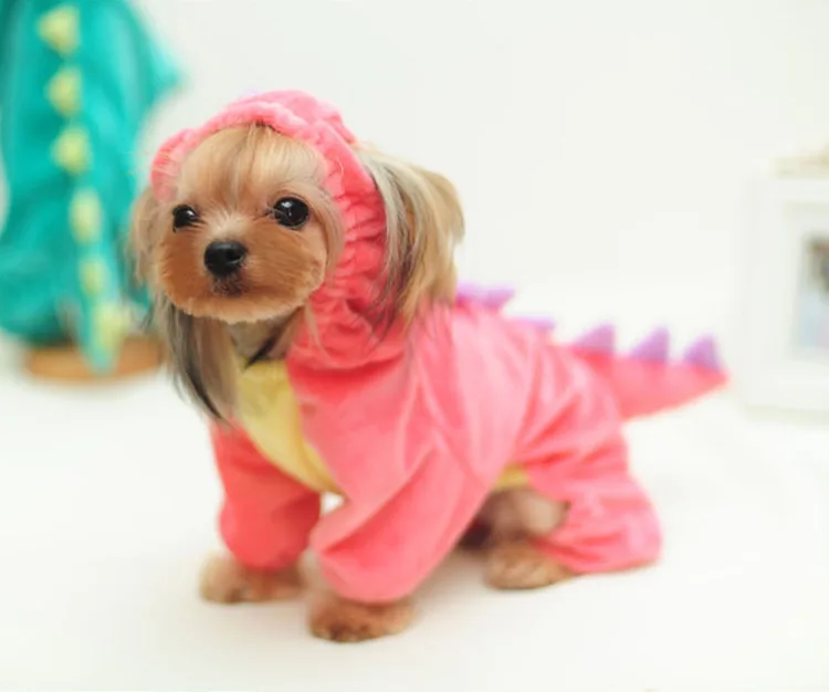 Pink Dinosaur